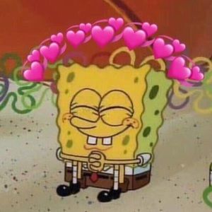 Meet your Posher, Meg